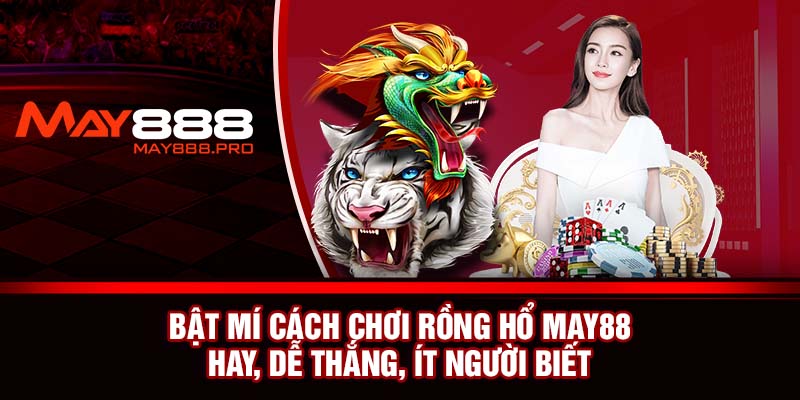 rồng hổ may88