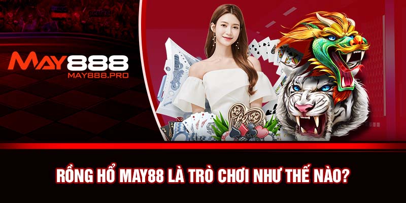 Rồng hổ May88 là trò chơi như thế nào?