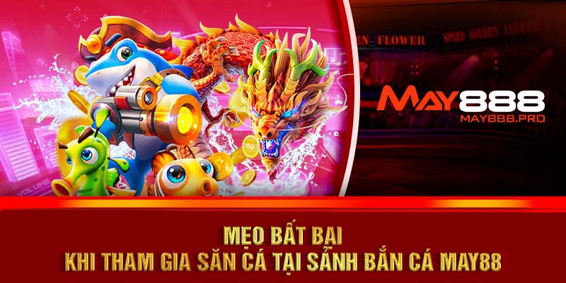 Mẹo bất bại khi tham gia săn cá tại sảnh Bắn cá MAY88