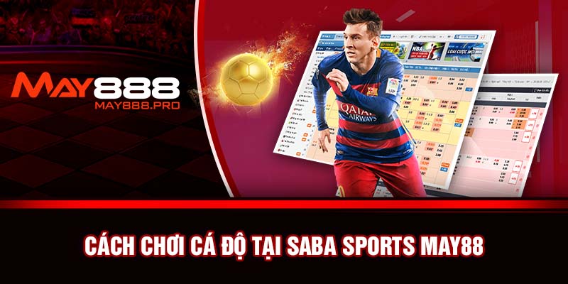 Cách chơi cá độ tại Saba Sports May88