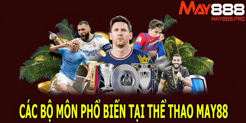 Các bộ môn phổ biến tại thể thao MAY88